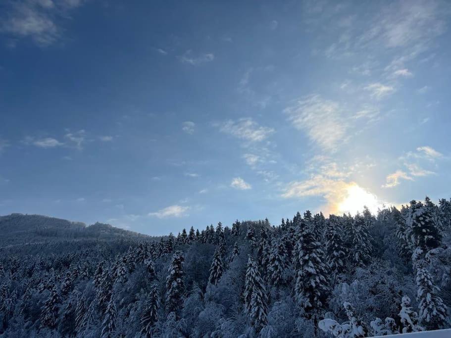 Prázdninový dům Tanjas Gemuetliches Haus Am Mondsee