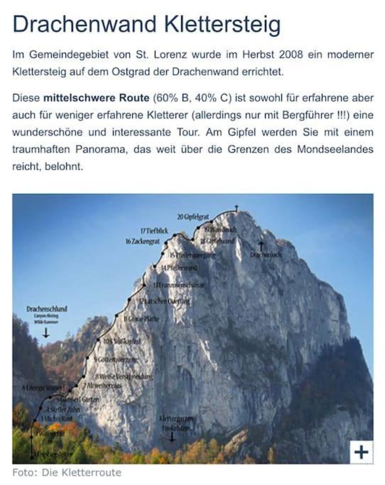 Tanjas Gemuetliches Haus Am Mondsee *